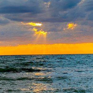 Meet your Posher, Angelica